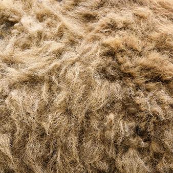 Close-up of yak fur
